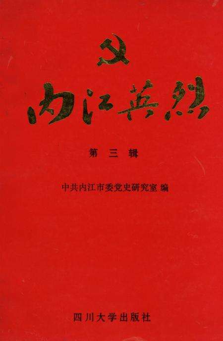 内江英烈（第三辑）.pdf电子版_四川省志缩略图