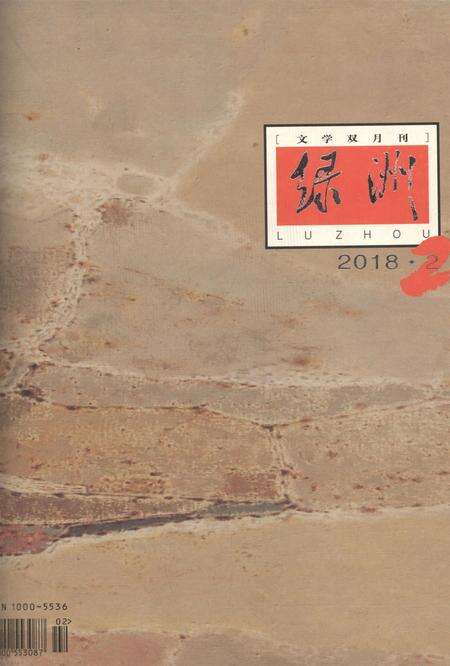 新疆绿洲2018年第02期.pdf电子版_新疆维吾尔族自治区志缩略图