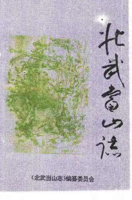 北武当山志.pdf电子版_其他志缩略图