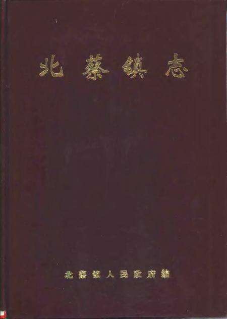北蔡镇志.pdf电子版_上海市志缩略图