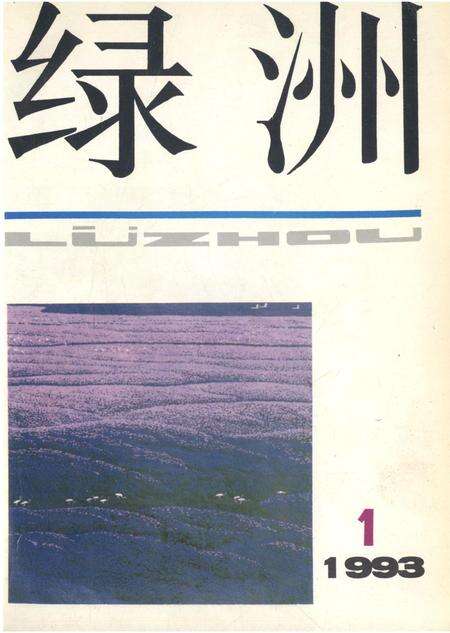 新疆绿洲第1993年第01期.pdf电子版_新疆维吾尔族自治区志缩略图