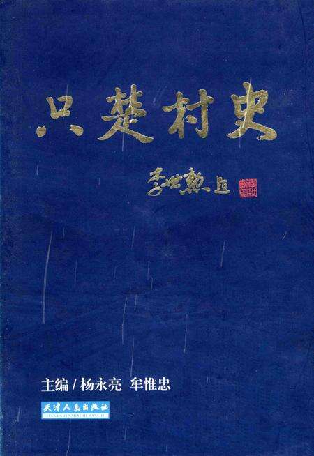 只楚村史.pdf电子版_山东省志缩略图