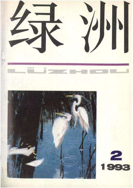 新疆绿洲第1993年第02期.pdf电子版_新疆维吾尔族自治区志缩略图