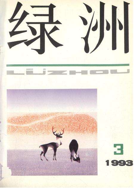新疆绿洲第1993年第03期.pdf电子版_新疆维吾尔族自治区志缩略图