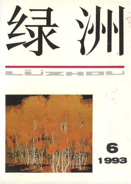 新疆绿洲第1993年第06期.pdf电子版_新疆维吾尔族自治区志缩略图