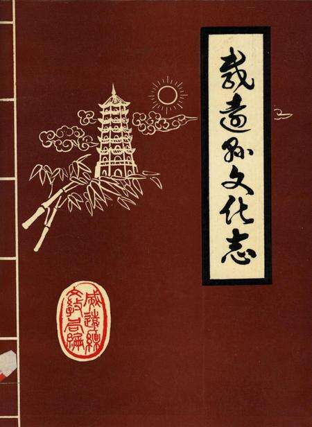 四川省威远县地方志（部门志）丛书 威远县文化志.pdf电子版_四川省志缩略图
