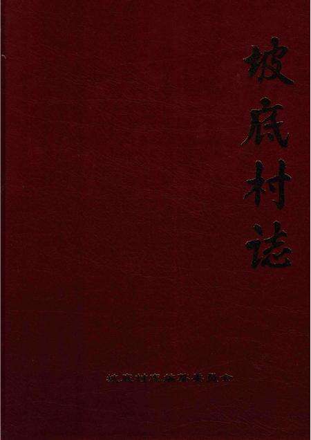 坡底村志.pdf电子版_河南省志缩略图