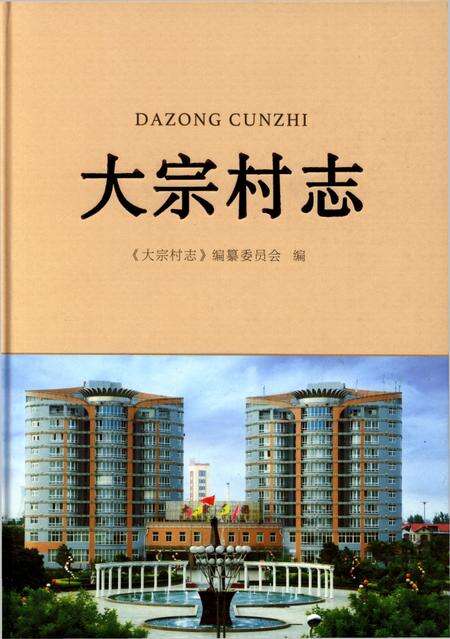 大宗村志.pdf电子版_山东省志缩略图