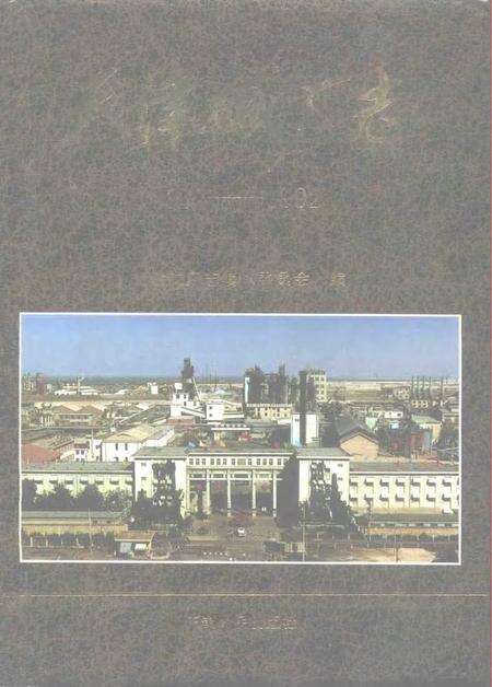 天津碱厂志  1917-1992.pdf电子版_天津市志缩略图