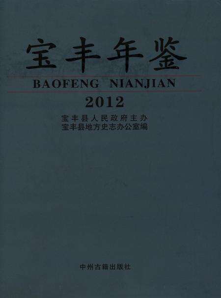 宝丰年鉴（2012）.pdf电子版_河南省志缩略图