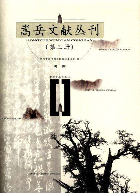 嵩岳文献丛刊（第一册）.pdf电子版_河南省志缩略图