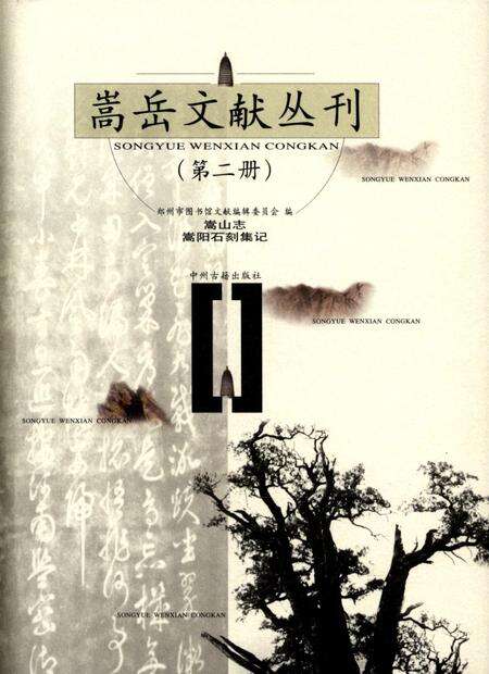 嵩岳文献丛刊（第三册）.pdf电子版_河南省志缩略图