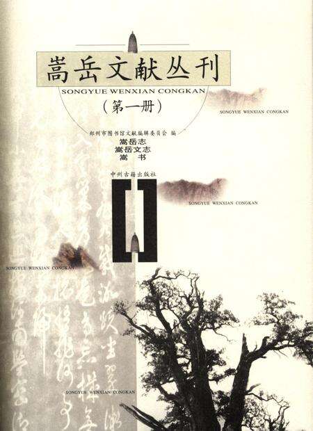 嵩岳文献丛刊（第二册）.pdf电子版_河南省志缩略图