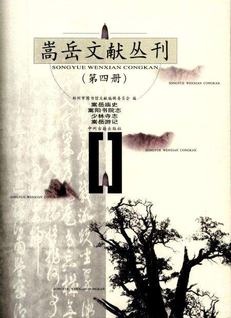 嵩岳文献丛刊（第四册）.pdf电子版_河南省志缩略图