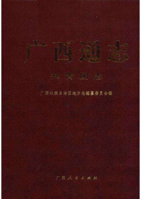 广西通志  共青团志.pdf电子版_广西壮族自治区志缩略图