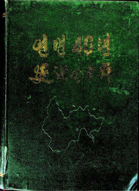 延边四十年.pdf电子版_吉林省志缩略图