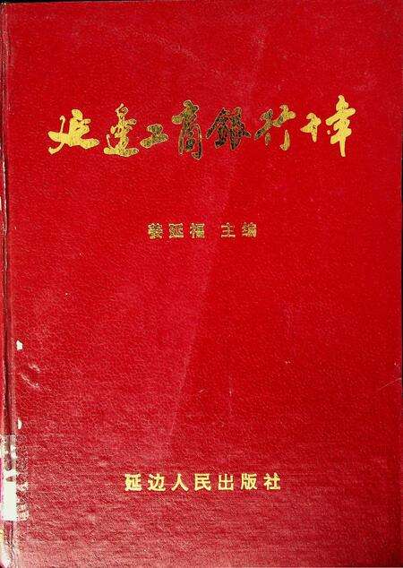 延边工商银行十年.pdf电子版_吉林省志缩略图