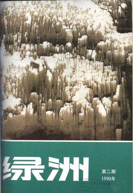 新疆绿洲1990年第02期.pdf电子版_新疆维吾尔族自治区志缩略图