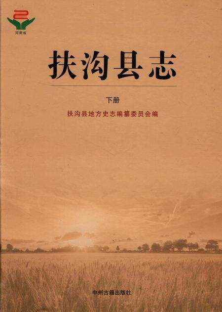 扶沟县志 下册.pdf电子版_河南省志缩略图