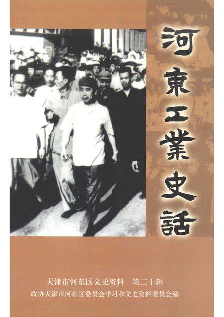 河东工业史话  河东区文史资料  第20辑.pdf电子版_天津市志缩略图