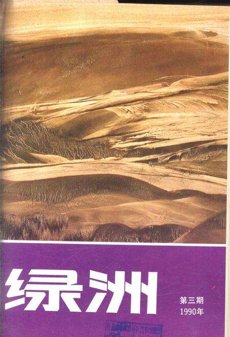 新疆绿洲1990年第03期.pdf电子版_新疆维吾尔族自治区志缩略图