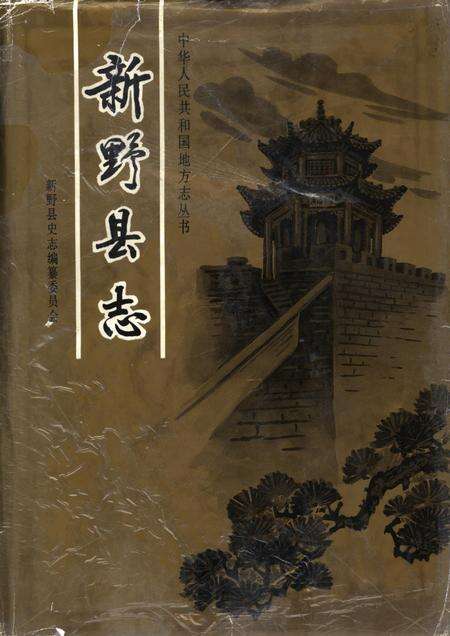 新野县志1991.pdf电子版_河南省志缩略图