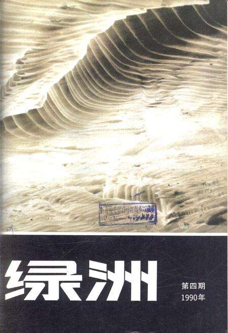 新疆绿洲1990年第04期.pdf电子版_新疆维吾尔族自治区志缩略图