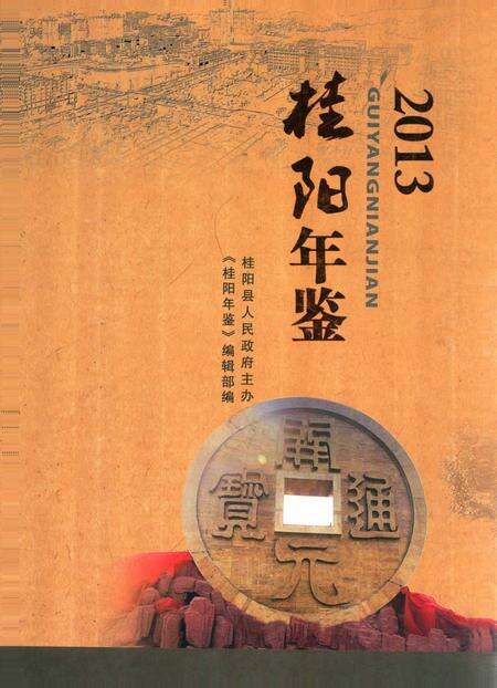 桂阳年鉴 2013.pdf电子版_湖南省志缩略图