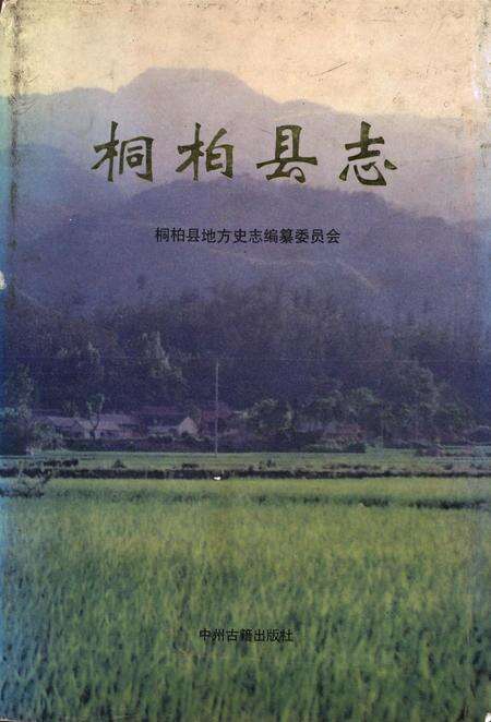 桐柏县志1995.pdf电子版_河南省志缩略图