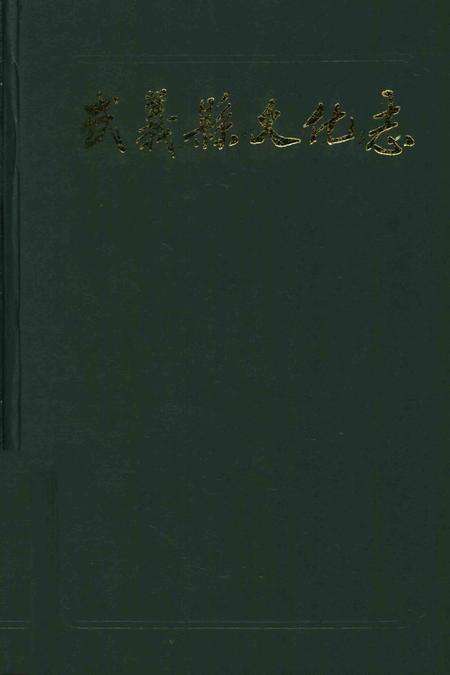 武义县文化志.pdf电子版_浙江省志缩略图
