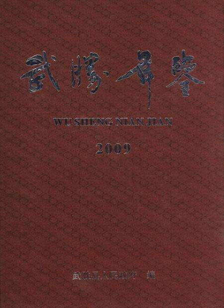 武胜年鉴（2009）.pdf电子版_四川省志缩略图