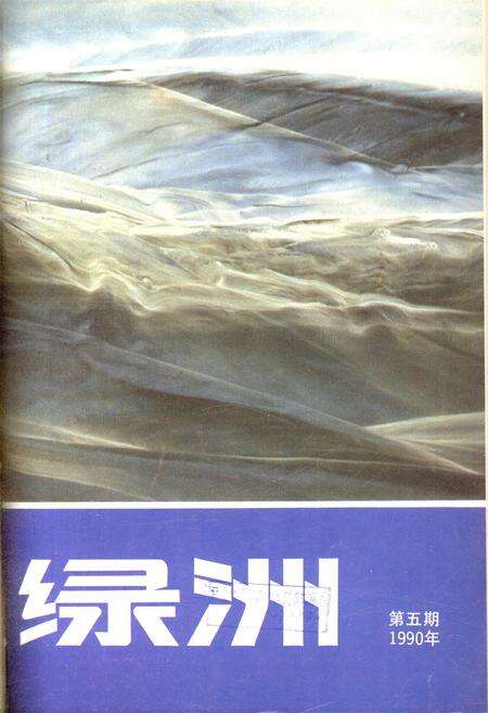 新疆绿洲1990年第05期.pdf电子版_新疆维吾尔族自治区志缩略图