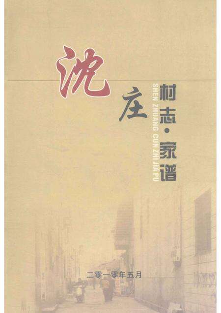 沈庄村志家谱.pdf电子版_河南省志缩略图