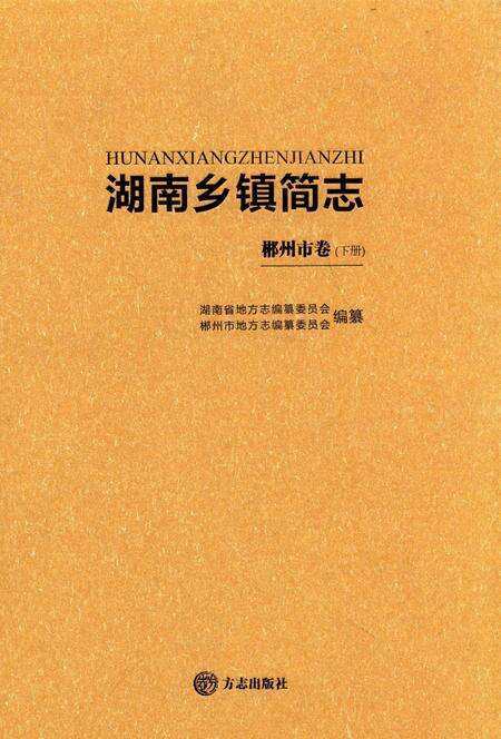 湖南乡镇简志郴州市卷 下.pdf电子版_湖南省志缩略图
