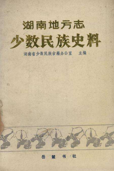 湖南地方志少数民族史料（下）.pdf电子版_河南省志缩略图