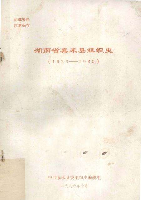 湖南省嘉禾县组织史（1923—1985）.pdf电子版_湖南省志缩略图