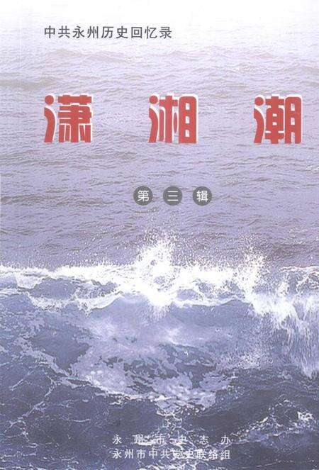 潇湘潮第三辑.pdf电子版_湖南省志缩略图