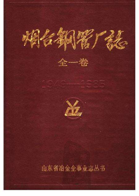 烟台钢管厂志  1949-1985.pdf电子版_山东省志缩略图