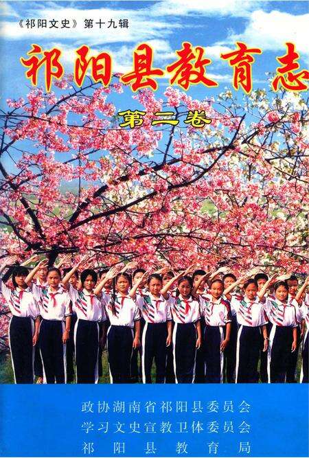 祁阳县教育志 第二卷.pdf电子版_湖南省志缩略图