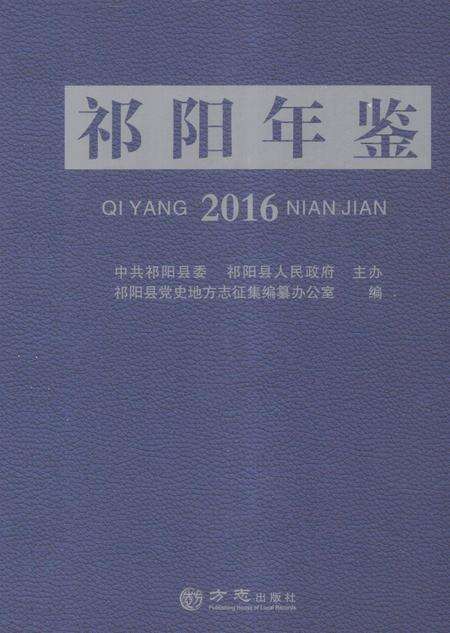 祁阳年鉴2016.pdf电子版_湖南省志缩略图