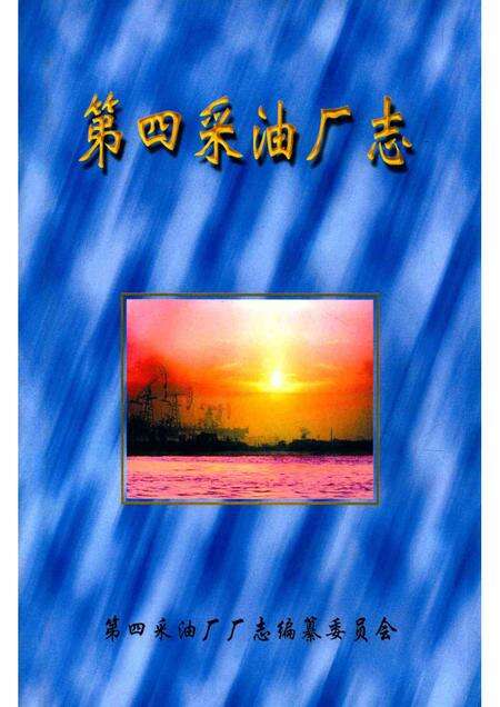 第四采油厂志  1984-1999.pdf电子版_黑龙江省志缩略图