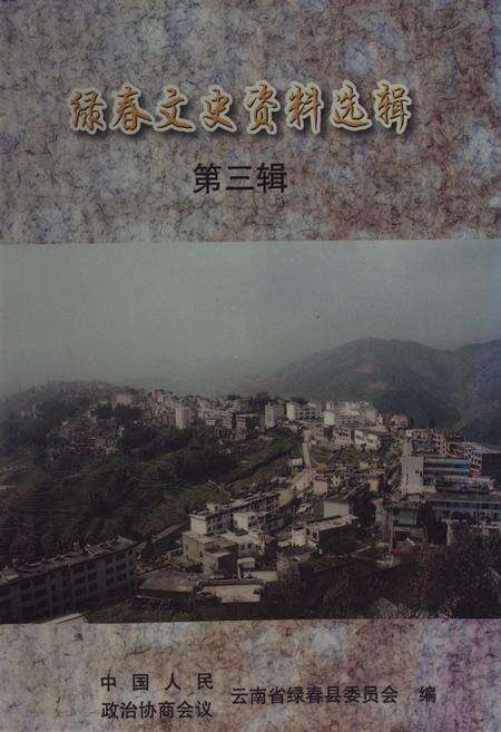 绿春文史资料选辑（第三辑）.pdf电子版_云南省志缩略图