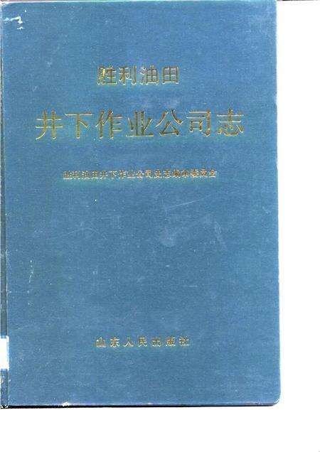 胜利油田井下作业公司志  1965-1988.pdf电子版_山东省志缩略图