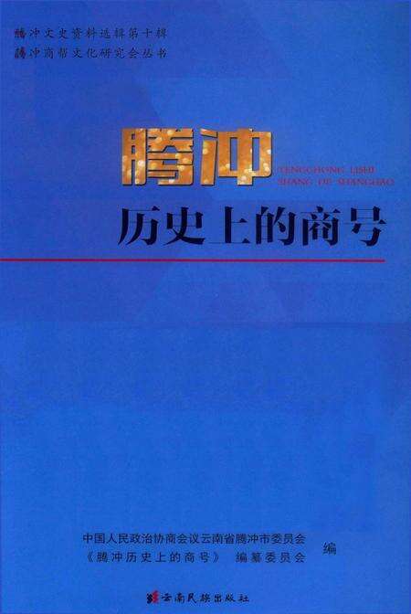 腾冲历史上的商号.pdf电子版_云南省志缩略图