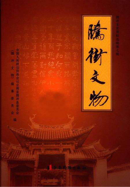 腾冲文物.pdf电子版_云南省志缩略图