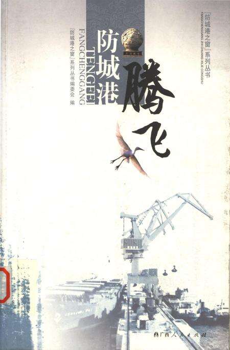 腾飞防城港.pdf电子版_广西壮族自治区志缩略图