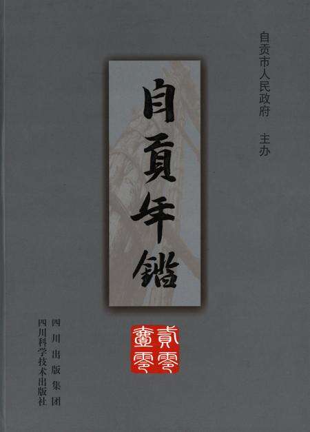 自贡年鉴2010.pdf电子版_四川省志缩略图