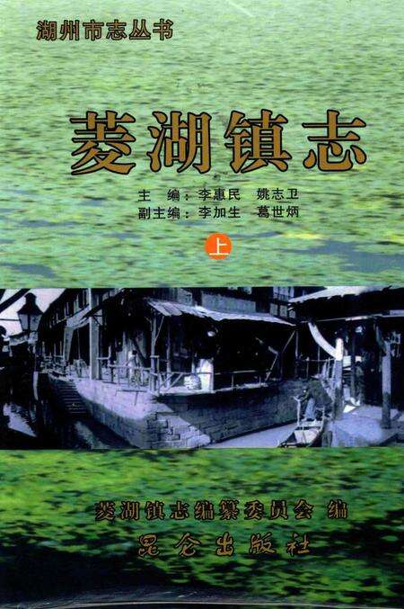 菱湖镇志-上.pdf电子版_浙江省志缩略图