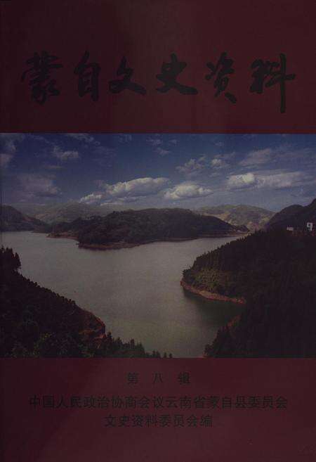 蒙自文史资料（第八辑）.pdf电子版_云南省志缩略图