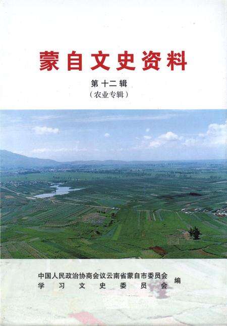 蒙自文史资料（第十二辑）.pdf电子版_云南省志缩略图